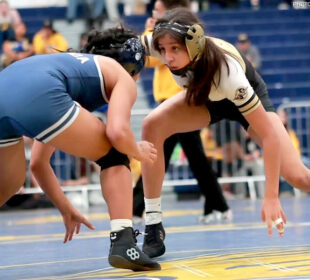 Northview Girls Wrestling